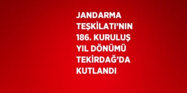 29392308232240320168