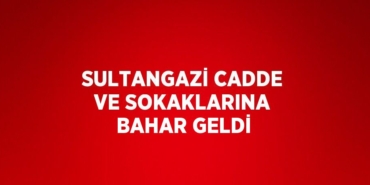 29394319842360520231tasarimli