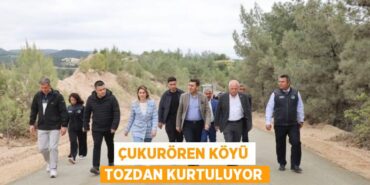 29397295232348128781tasarimli