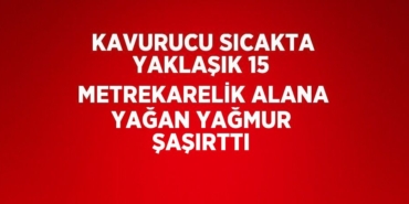 29398251602408629006tasarimli