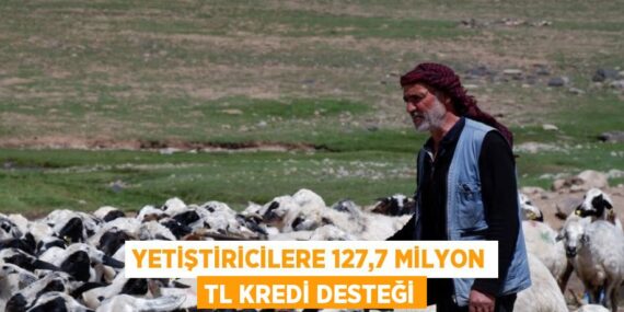 YETİŞTİRİCİLERE 127,7 MİLYON TL KREDİ DESTEĞİ