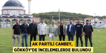 29414271052340428413tasarimli