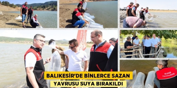 Balıkesir’de binlerce sazan  yavrusu suya bırakıldı