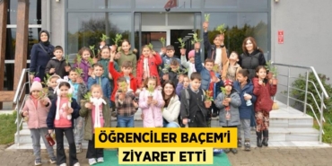 29417314602356720758tasarimli