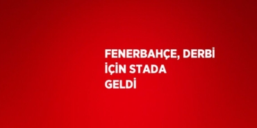 29418264422397425350