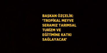 29419273702479131276