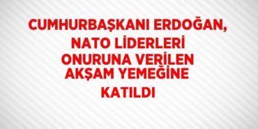 29423203452334222942tasarimli