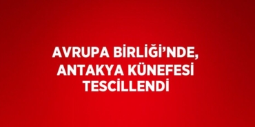29424261073164825946tasarimli