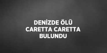 29425211002334929798tasarimli