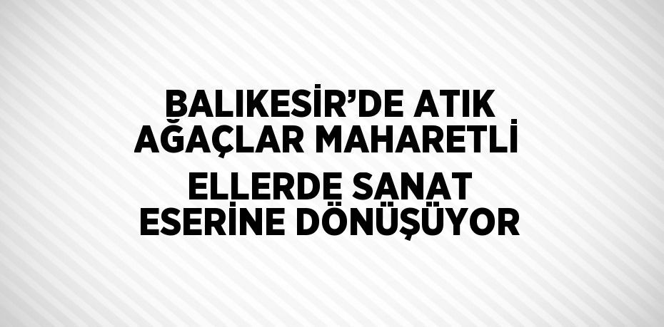 29428314482003626659tasarimli