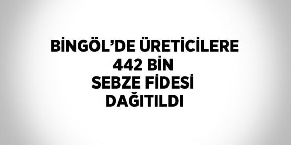 BİNGÖL’DE ÜRETİCİLERE 442 BİN SEBZE FİDESİ DAĞITILDI