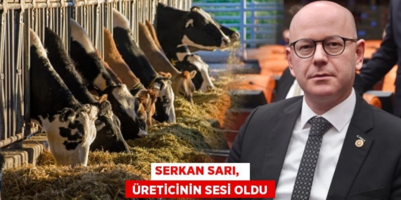 SERKAN SARI,   ÜRETİCİNİN SESİ OLDU