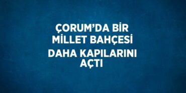 29440245302831221185tasarimli