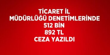 29444228692975125952tasarimli
