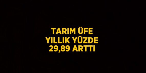 TARIM ÜFE YILLIK YÜZDE 29,89 ARTTI