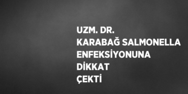 29446251012185224608