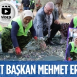 29447311893057428749