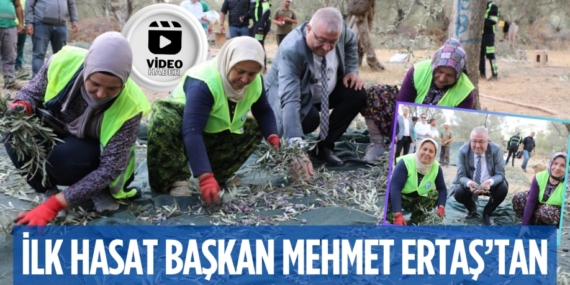 İLK HASAT BAŞKAN MEHMET ERTAŞ’TAN