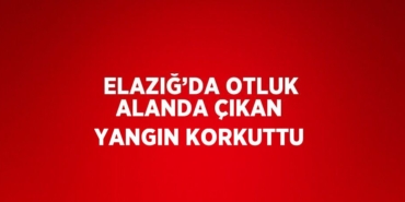 29452215672729426645tasarimli