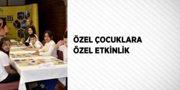 29453250092466226536