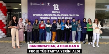 29455200512724329901tasarimli