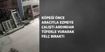 29455253873163931848