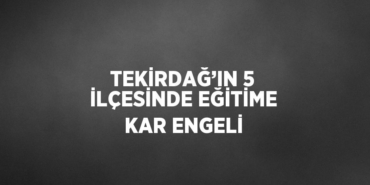 29457216082767124474tasarimli