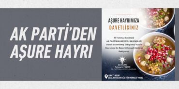 29461260102031923999