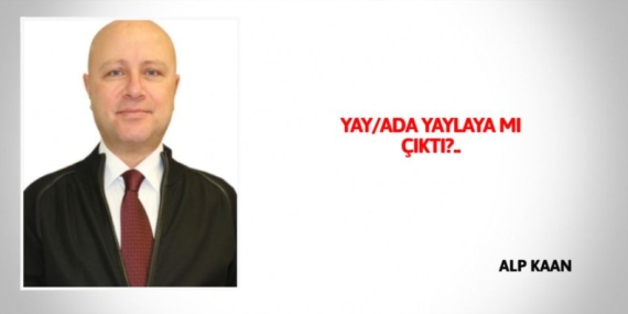 YAY/ADA YAYLAYA MI ÇIKTI?..
