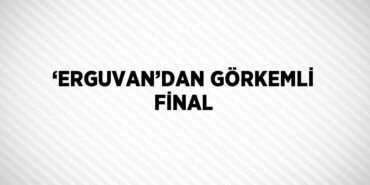 29467204782031721303tasarimli