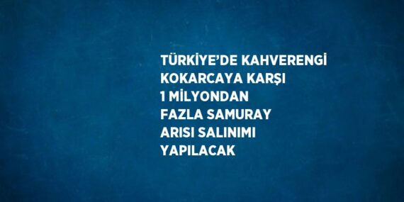 TÜRKİYE’DE KAHVERENGİ KOKARCAYA KARŞI 1 MİLYONDAN FAZLA SAMURAY ARISI SALINIMI YAPILACAK