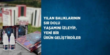 29470283392848426092