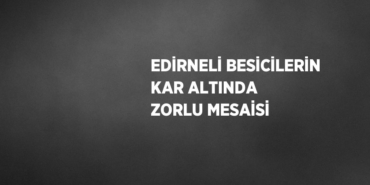 29471296442573624089
