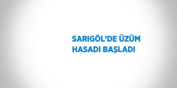 SARIGÖL’DE ÜZÜM HASADI BAŞLADI