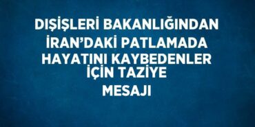 29486300392167029438tasarimli