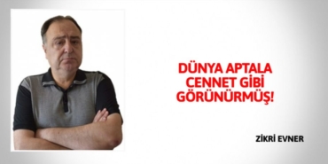 29492210042465130536