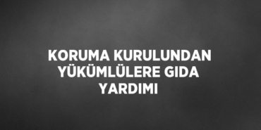 29494236932137720611tasarimli