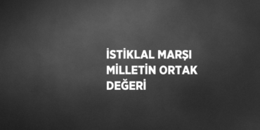 29495227982201525409