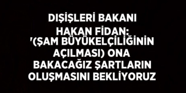29501293392492424946tasarimli