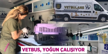 29504259783110926390