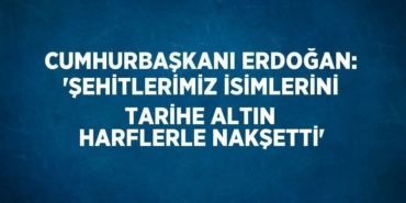 29505230682900021358tasarimli