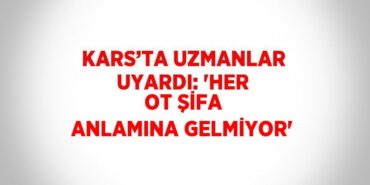 29507310792262231526tasarimli