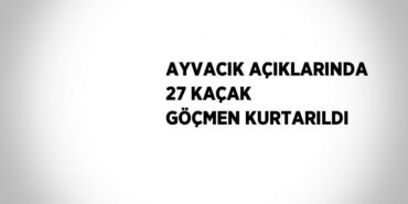 29508232482124130643