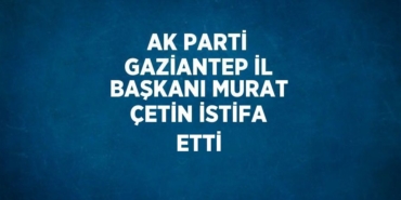 29513224063194121162tasarimli