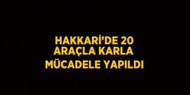 29514240152557929091tasarimli