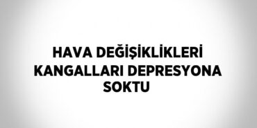 29514243532761525481tasarimli