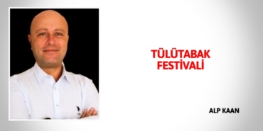 29517273352624023055