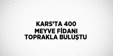 29520290592945531519tasarimli