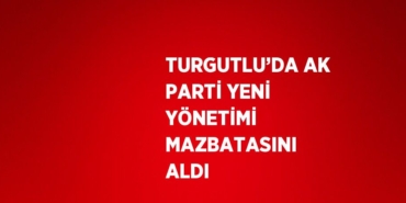 29528201472711125603