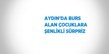 29530265132155229163